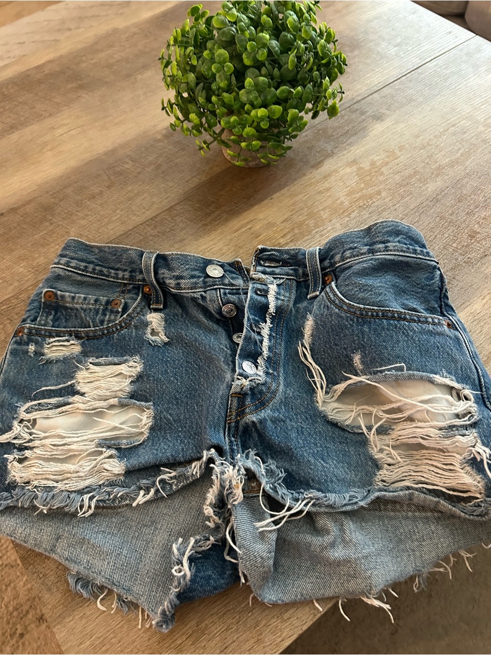 Levi 501 Distressed Denim Cutoff Shorts